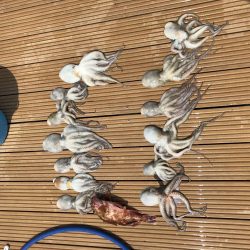 オクトパッシング