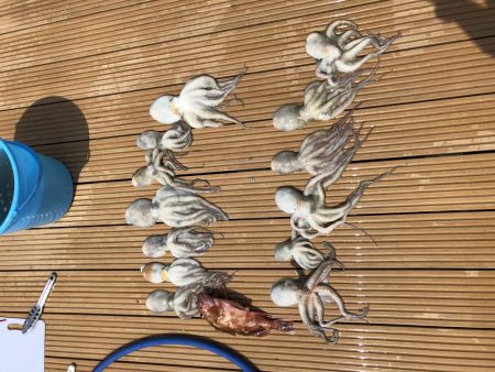 オクトパッシング