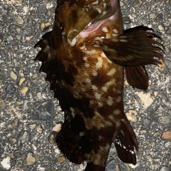 のんびりライトゲーム