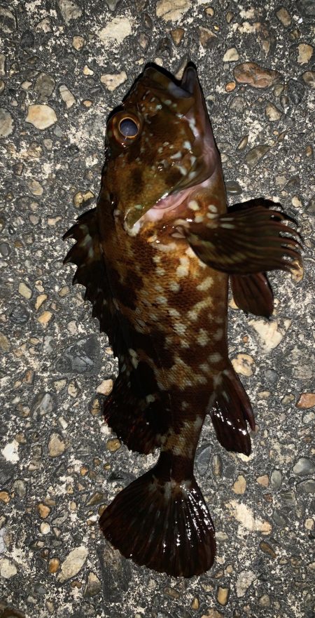 のんびりライトゲーム