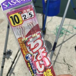 カレイはどこ？