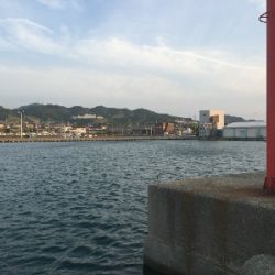 アジをもとめて