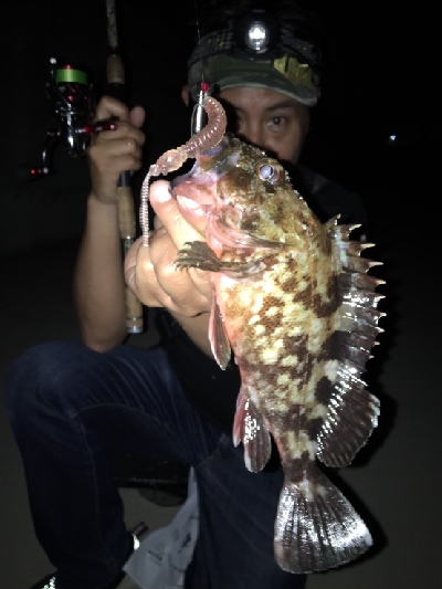 ワイワイガヤガヤ！