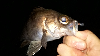 平成最後の淡路島