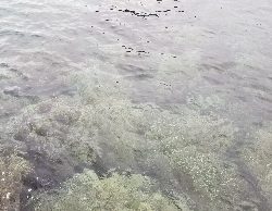 長雨の影響で不調