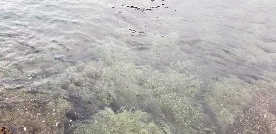 長雨の影響で不調