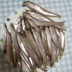 キスが絶好調！