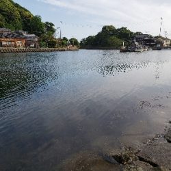 ガッシーは裏切らない