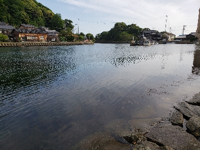 ガッシーは裏切らない