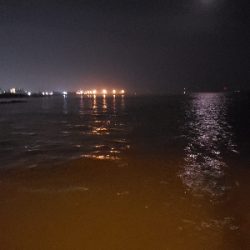 久しぶりの明石