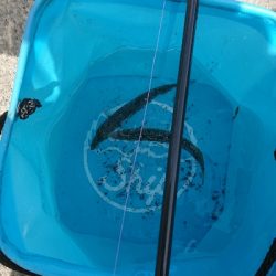 城ヶ島へ遠征で投げサビキ