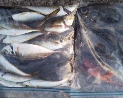 リベンジ成功(^^)/