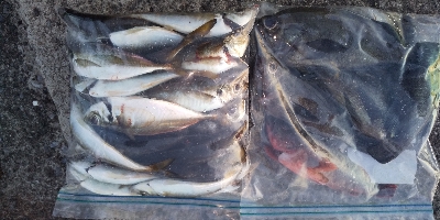 リベンジ成功(^^)/