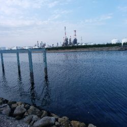 ちょい投げフィッシング