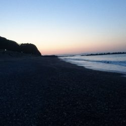 仁淀川周辺サーフライトショアジギング