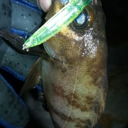 ナイトメバリング