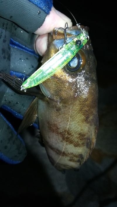 ナイトメバリング