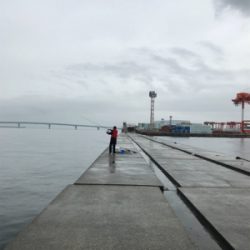 ボートアイランド沖堤防 外向き