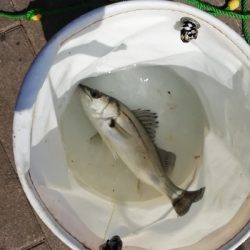 奇跡起きました！