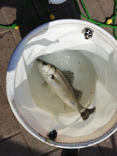 奇跡起きました！