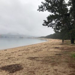 令和初キス釣り