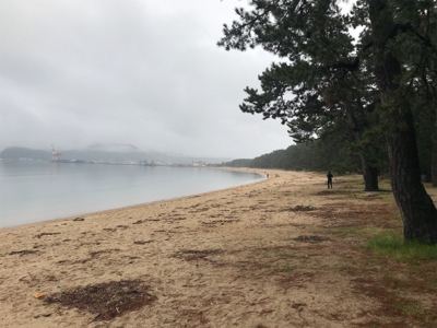 令和初キス釣り