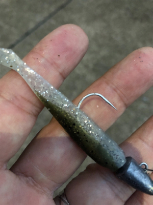 GWの奇跡 シーバス3連発