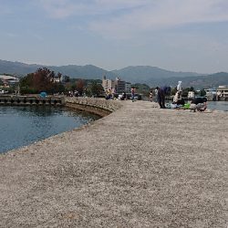 ゴールデンウィーク後半、令和元年、初釣り