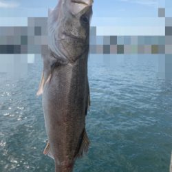 白昼ビッグシーバスキタ――(゚∀゚)――!!