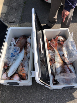 完全フカセで真鯛ブリ