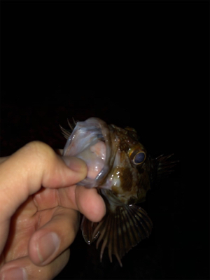 ボトムネチネチで連発！