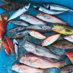 中深海とディープタイラバ