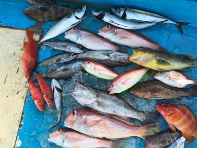 中深海とディープタイラバ