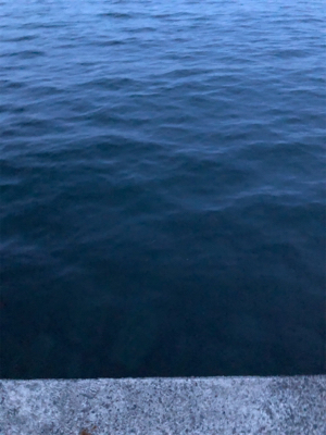 エサとワームで釣れるのは