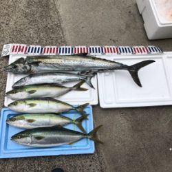 ジギング初挑戦の子を連れて