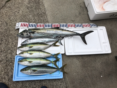 ジギング初挑戦の子を連れて