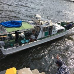 知り合いの船で明石タイ狙い