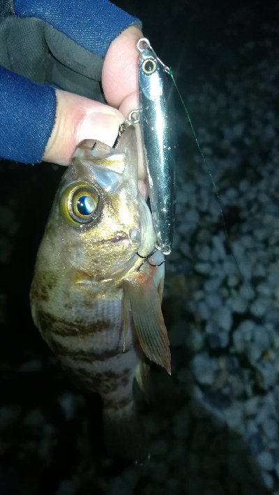 ナイトメバリング