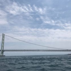 タコ  鯛  二本立て