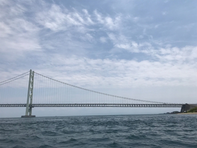 タコ  鯛  二本立て