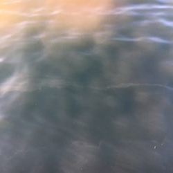 短時間アジング