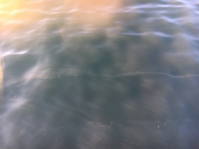 短時間アジング