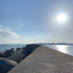 神戸沖堤防 チヌフカセ