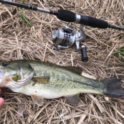 スモラバサイト