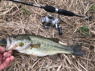 スモラバサイト