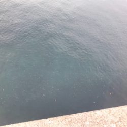 エソからの〜エソ