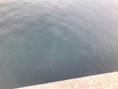 エソからの〜エソ