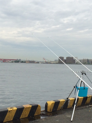 久しぶりの場所でカレイ釣り