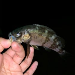 フロートアジング