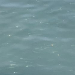 活性高し!シーバスマルチ♫